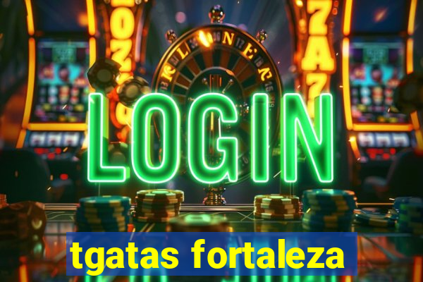 tgatas fortaleza